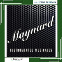 Maynard Instrumentos Musicales